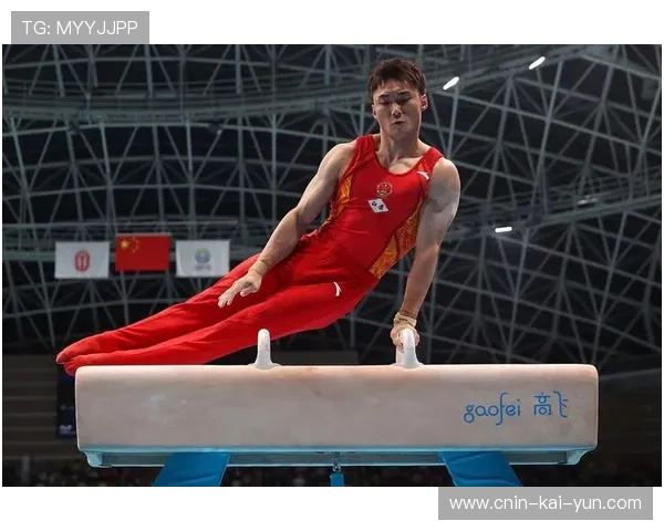体操鞍马选手全程稳定无明显瑕疵